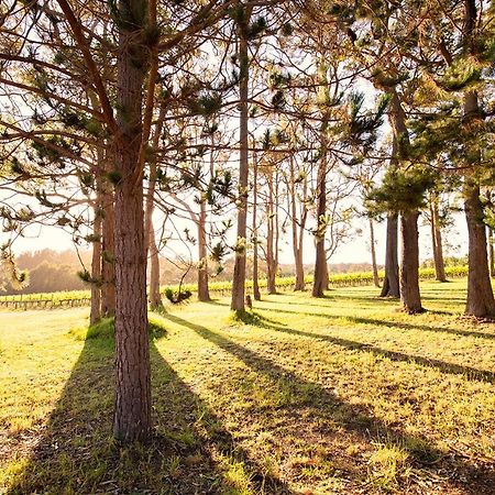 Ruse Estate Retreat Margaret River Rosa Glen Экстерьер фото