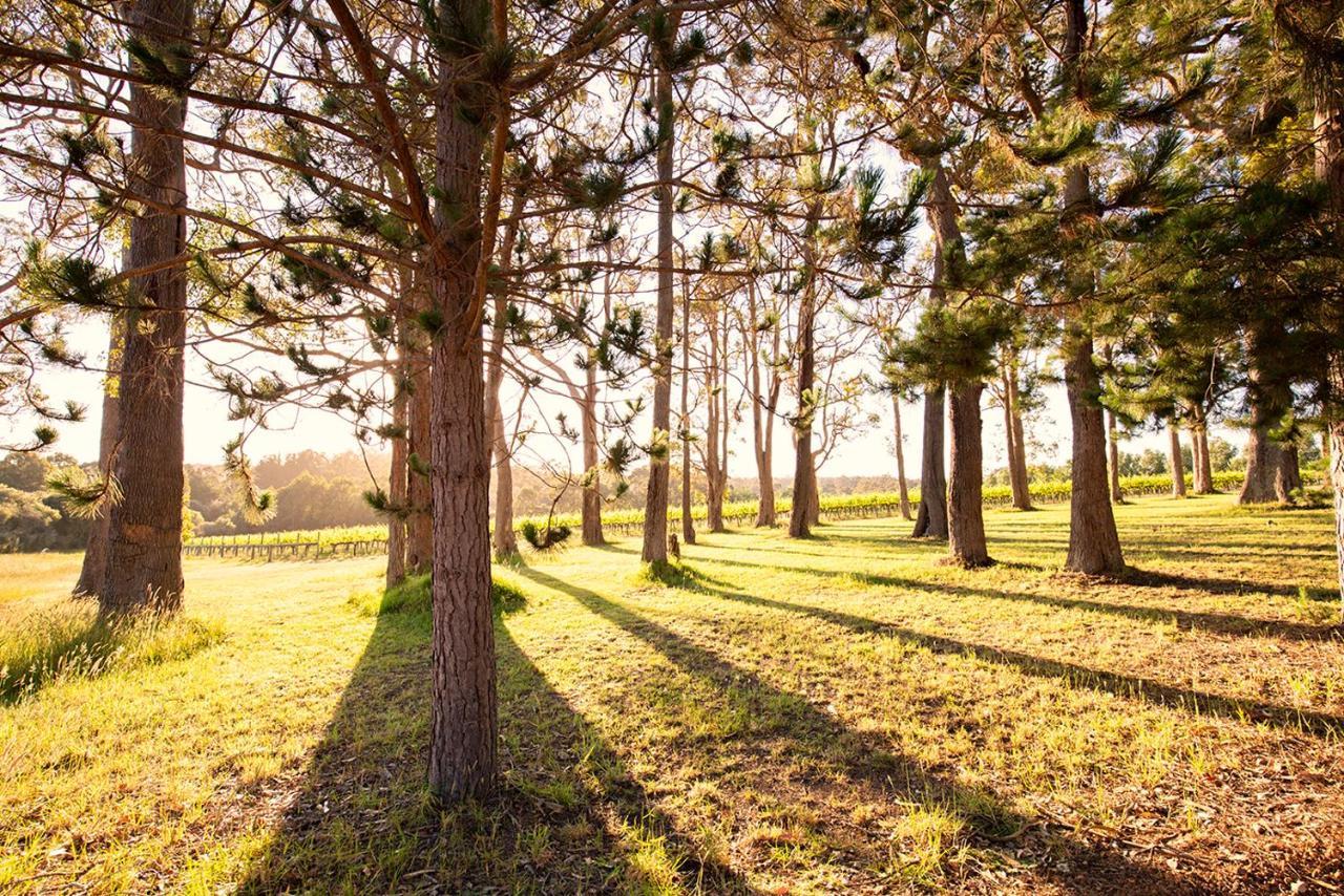 Ruse Estate Retreat Margaret River Rosa Glen Экстерьер фото