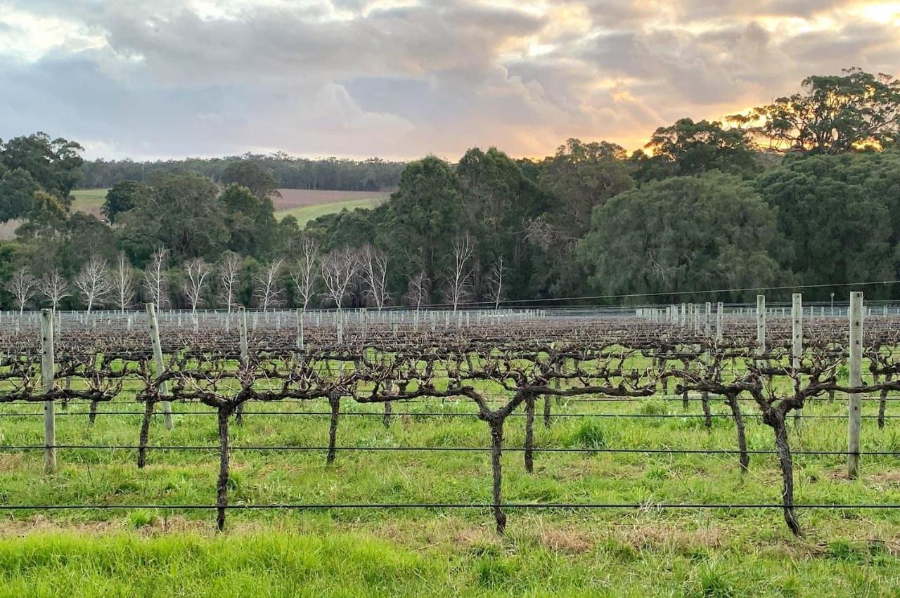 Ruse Estate Retreat Margaret River Rosa Glen Экстерьер фото